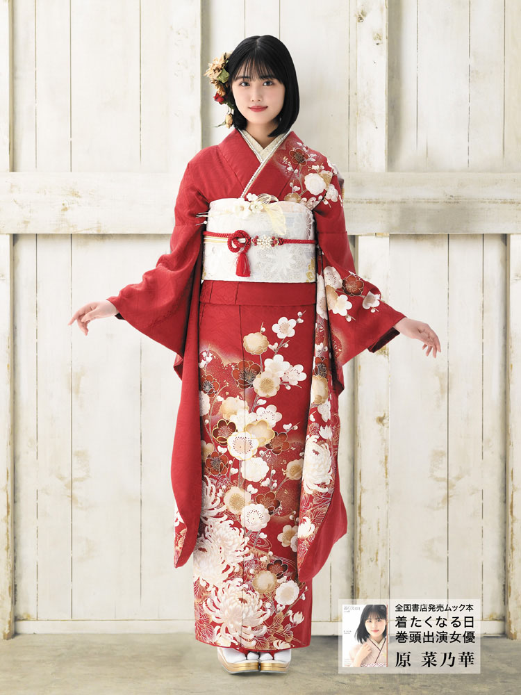 原菜乃華さん着用の紅白の梅と大輪の菊の花が美しい赤振袖